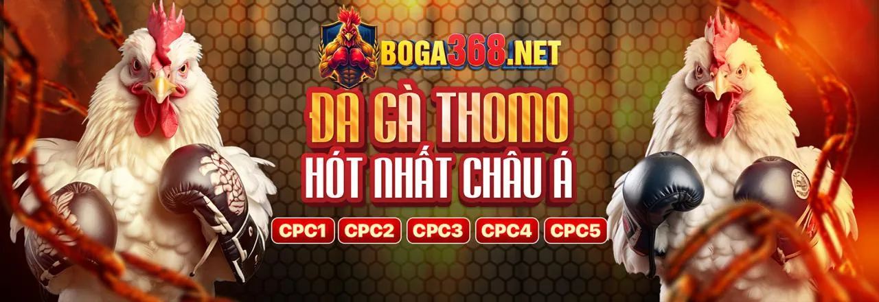 Giao diện ứng dụng SV88TV trên điện thoại